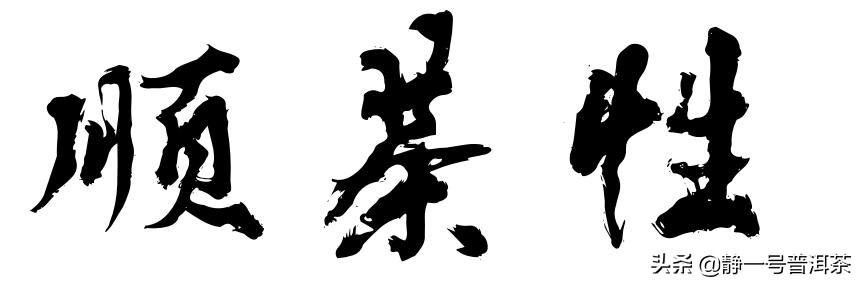 普洱茶怎么放才有陈香,科学的理解与认识