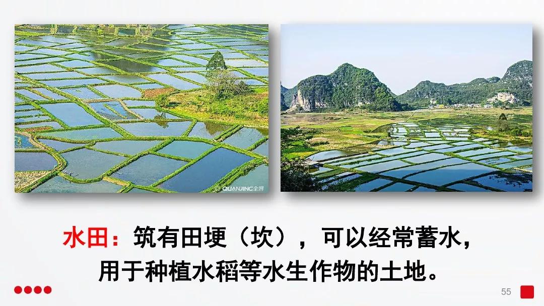 五年级部编版语文白鹭讲课视频,部编小学语文五年级上册白鹭课件