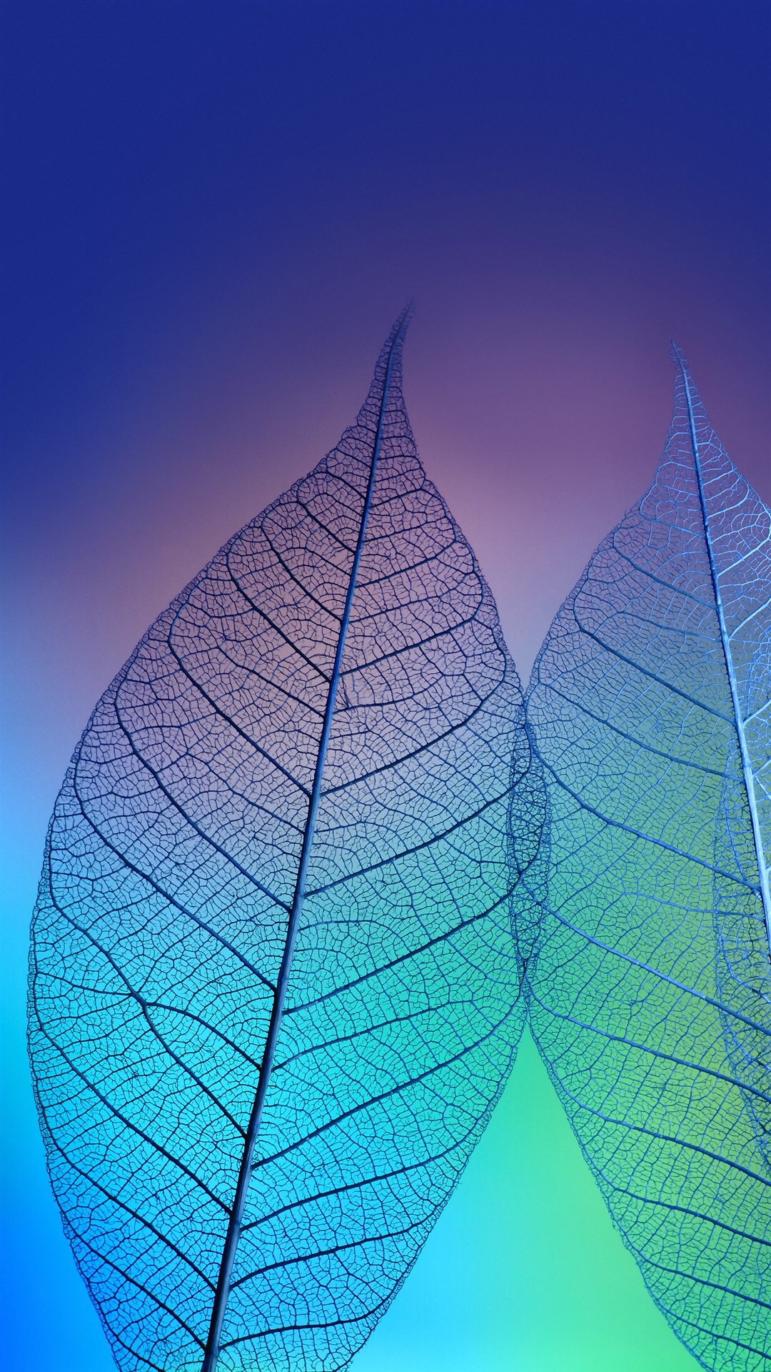 60张绝版手机壁纸,苹果商务壁纸超清图片高级感