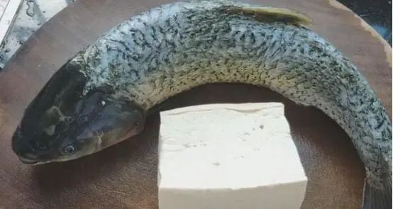 草鱼芹菜豆腐的做法大全家常菜,砂锅炖草鱼豆腐最简单的做法