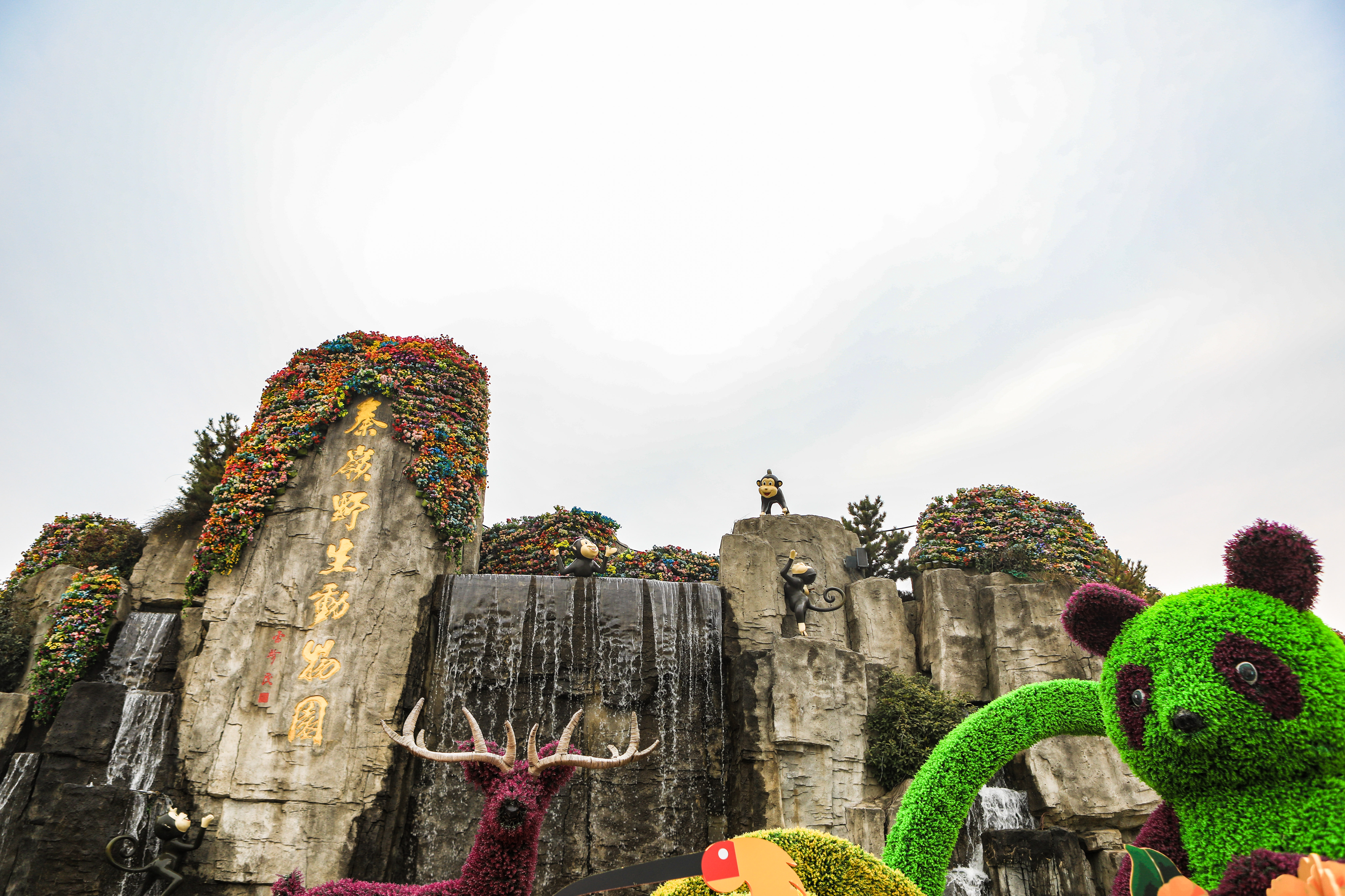 这是西北首个野生动物园，实测喂老虎是一种怎样感受！刺激