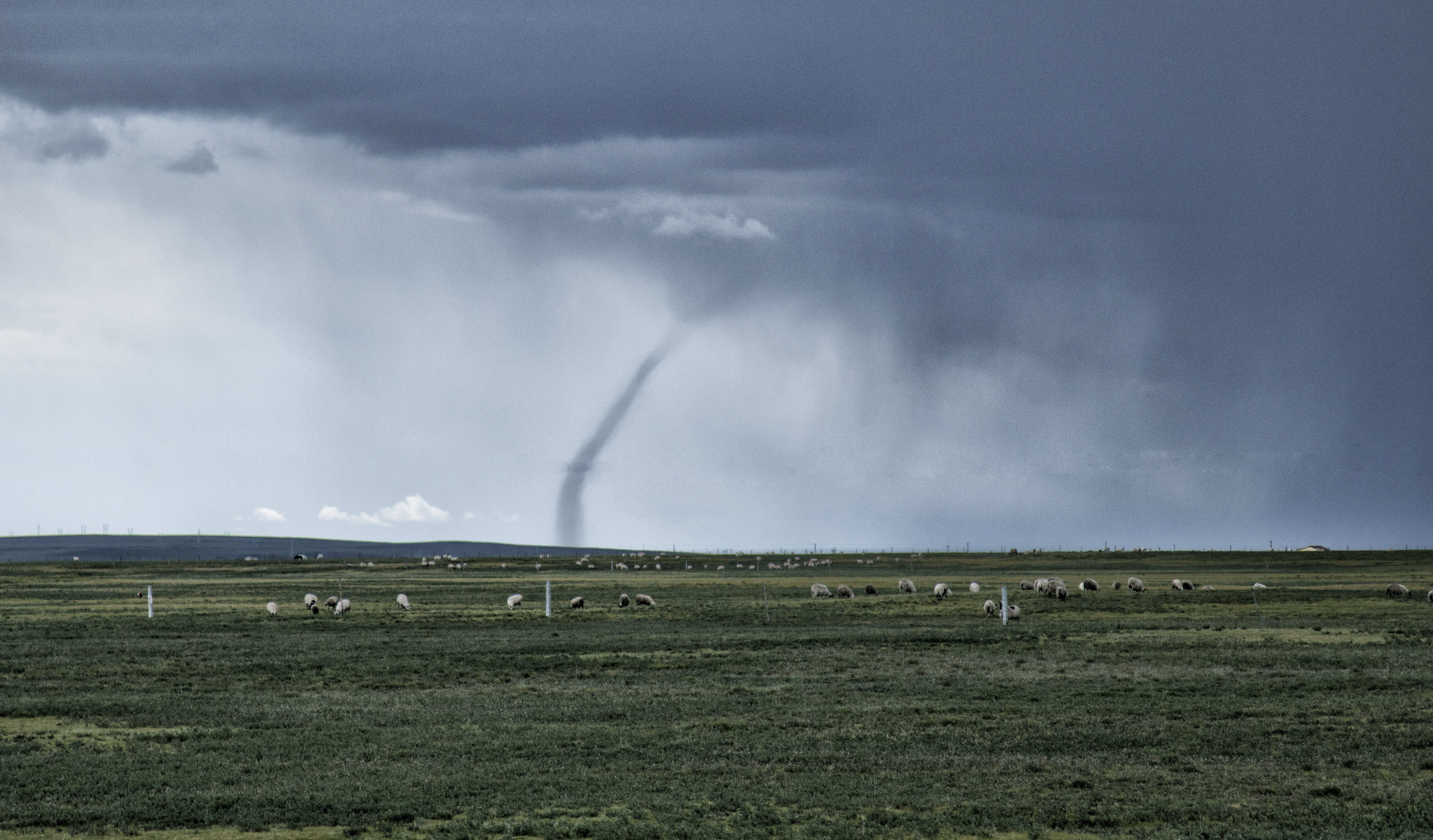债券投资最新骗局案例,债券投资价值陷阱