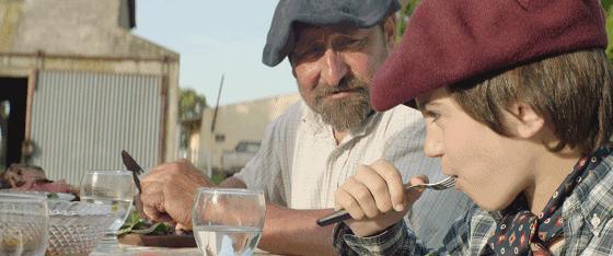 阿根廷牛肉如何走向世界,阿根廷牛肉源头