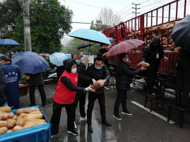 外来媳妇本地郎疫情防控特别篇,外来媳妇本地郎抗击疫情特别版