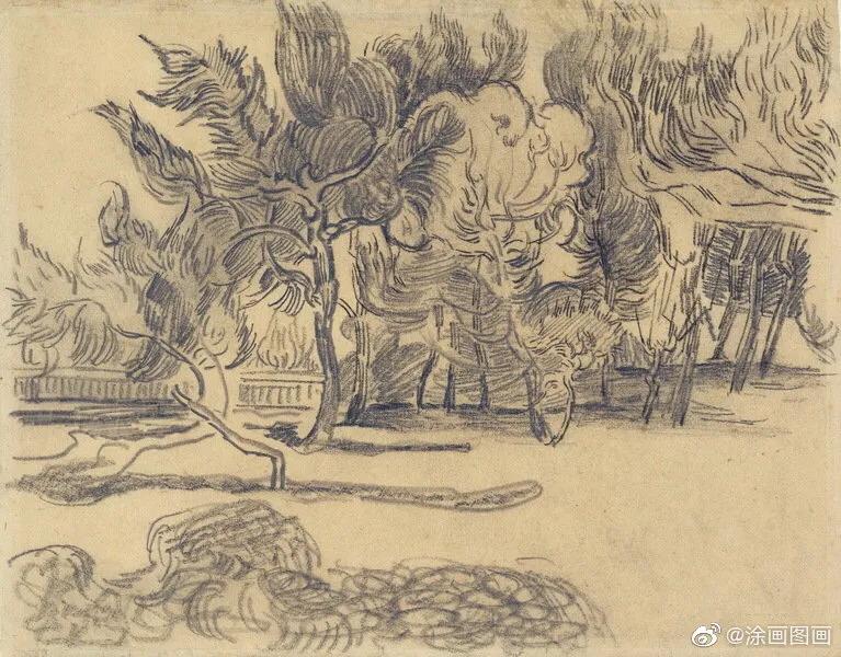 著名画家文森特梵高简介,文森特梵高作品图