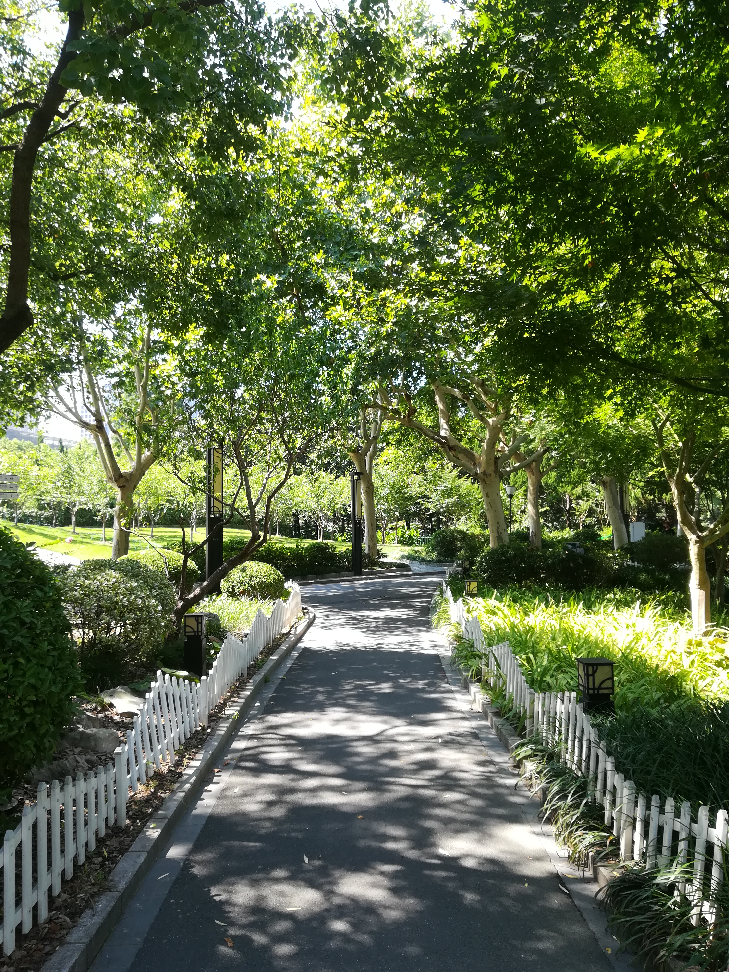 上海长风公园钓鱼,上海长风公园改造计划