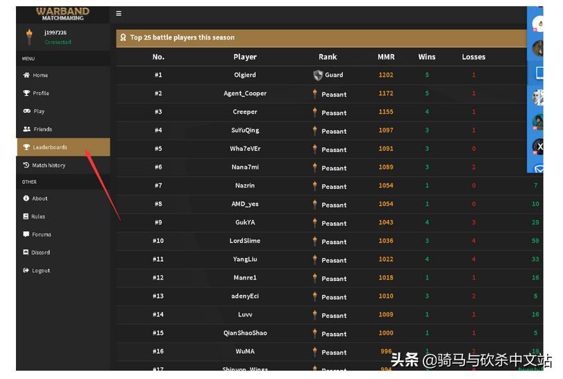 联机骑马与砍杀战团两个人怎么玩,骑马与砍杀战团攻略详解大全