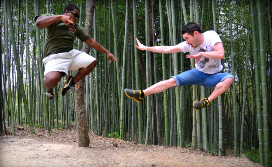 竹林被韩国申遗成功了吗,全球唯一申遗的古茶山