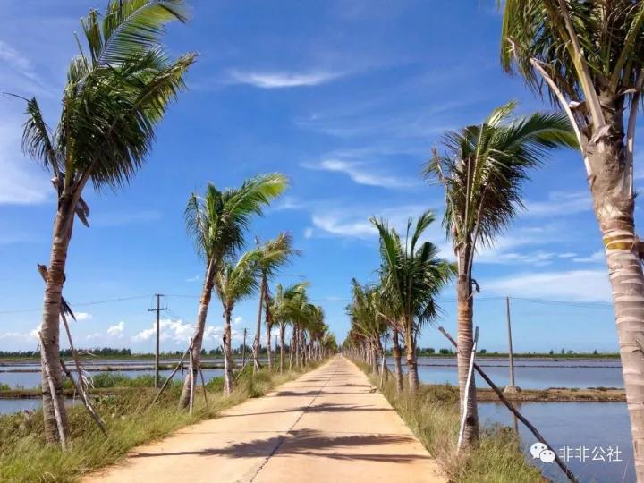 湛江游玩打卡攻略路线,湛江行程攻略