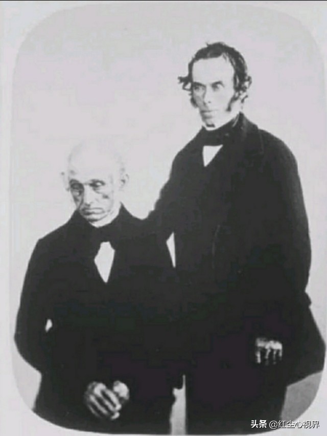 19世纪英国疯人院,疯人院英国