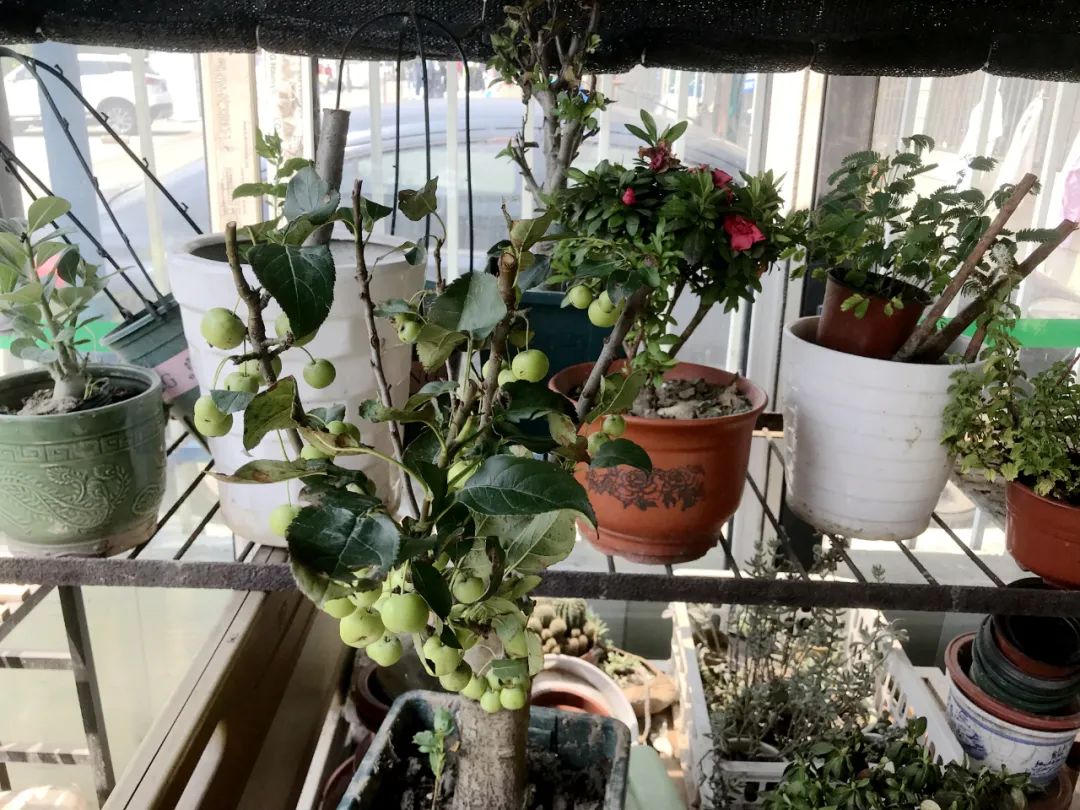 羡慕!快来看看江阴申港街道这些“美丽”榜样