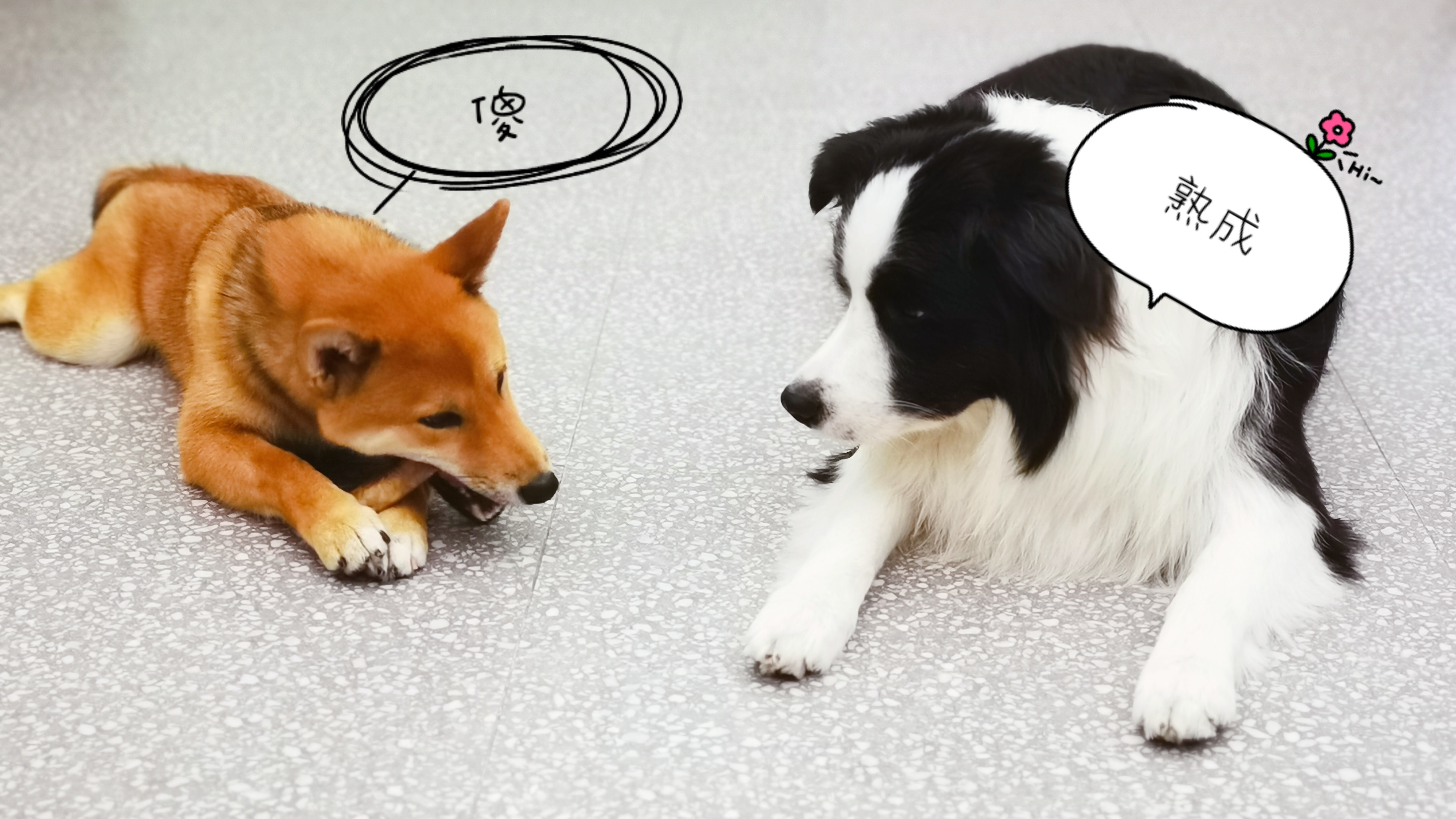 杂谈是指什么,杂谈的意思