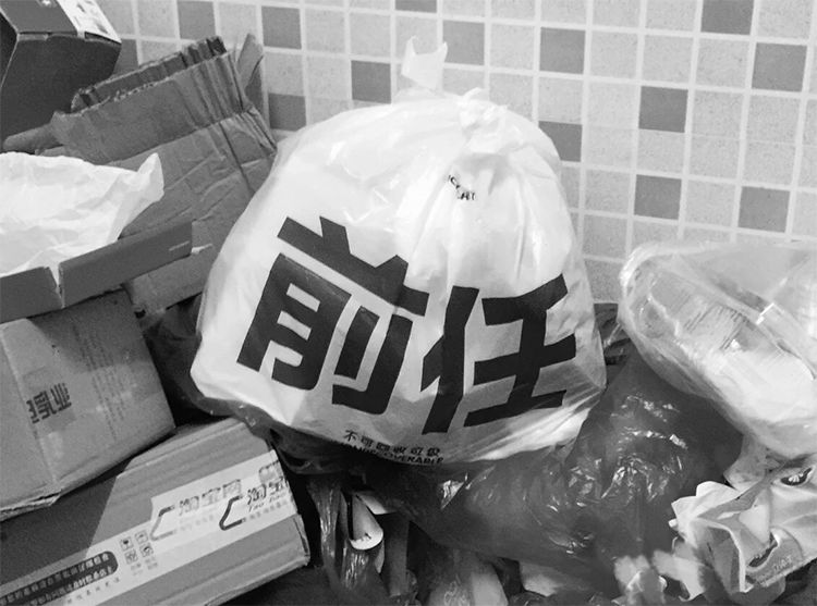 单身狗情人节打王者,情人节单身狗和情侣