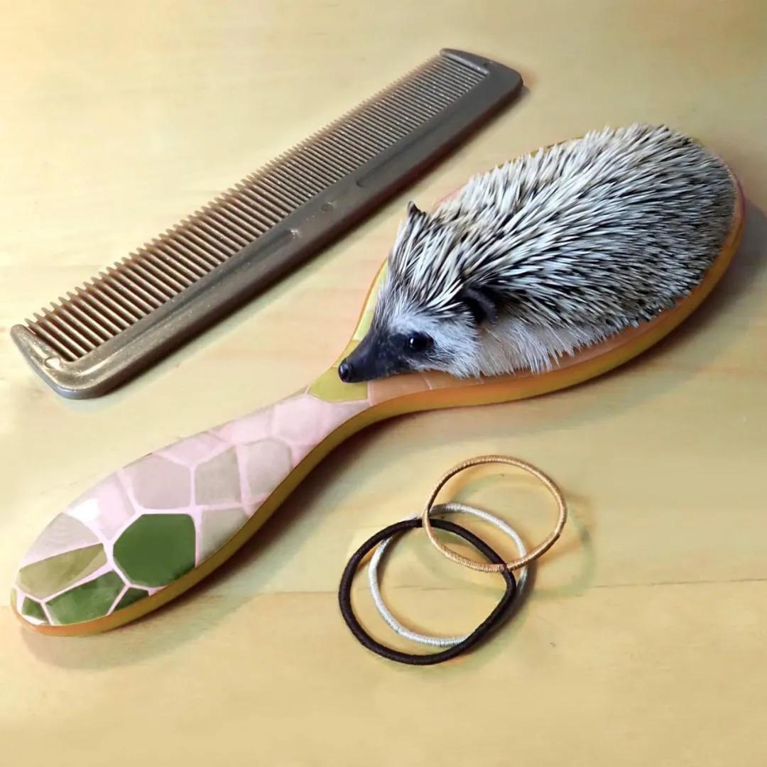 她用菜叶、香蕉做成艺术品,把“人体”艺术玩到极致,圈粉57万