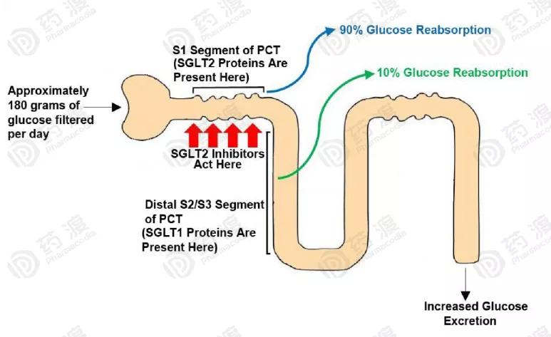 上帝的礼物英文字母,上帝的礼物21