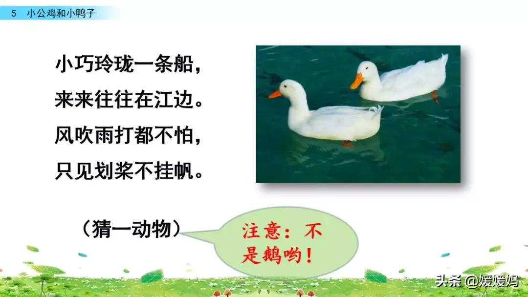 一年级小公鸡和小鸭子仿写句子,一年级小公鸡和小鸭子的看图写话