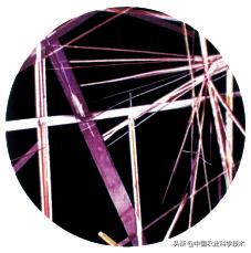 顾君华｜维生素的前世今生！