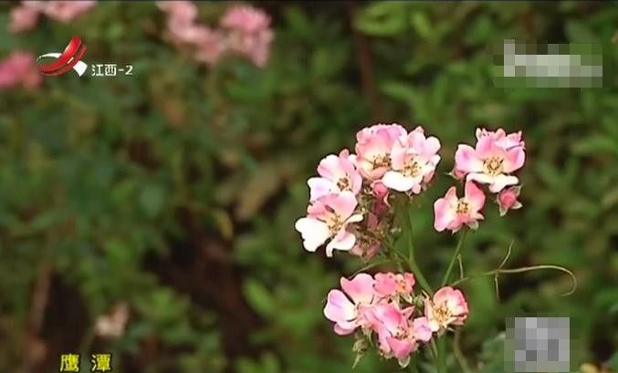 江西：与闺蜜关系好到为她洗脚却因爱生恨转走对方存款