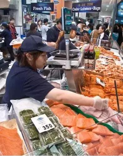 曝光黑心鱼商,悉尼海鲜鱼市场