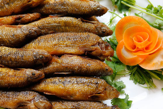 巴马特别且长寿的美食,巴马四大美食排行榜