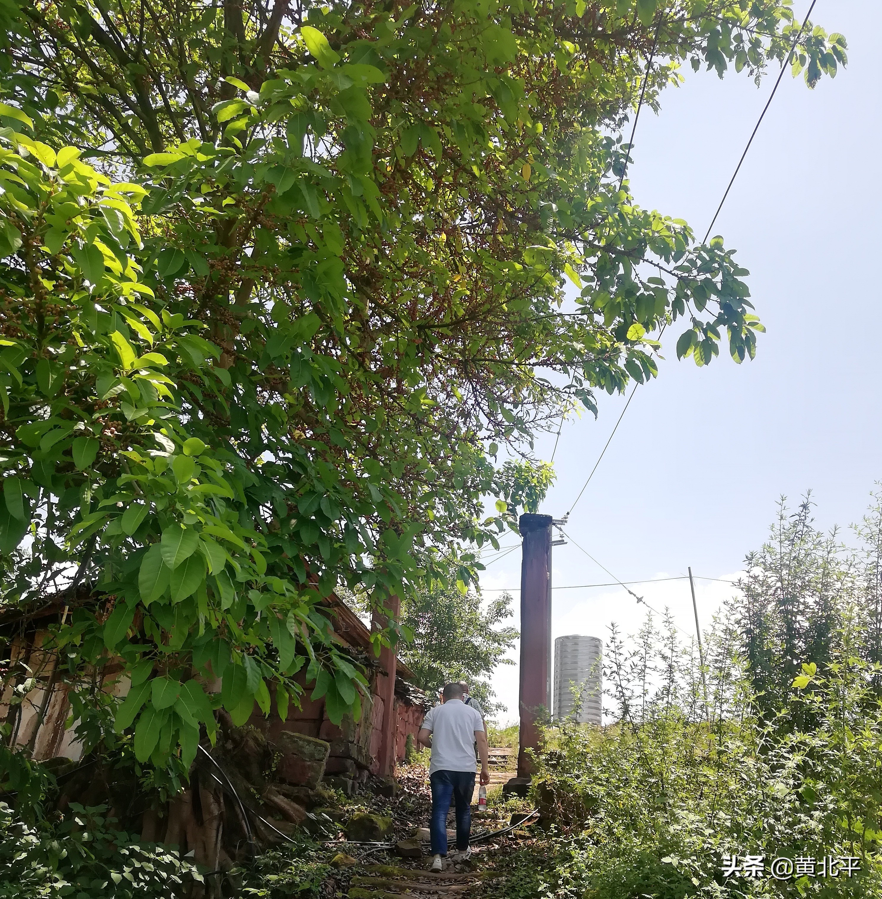 北碚深山寺庙,深山密林的神秘古刹