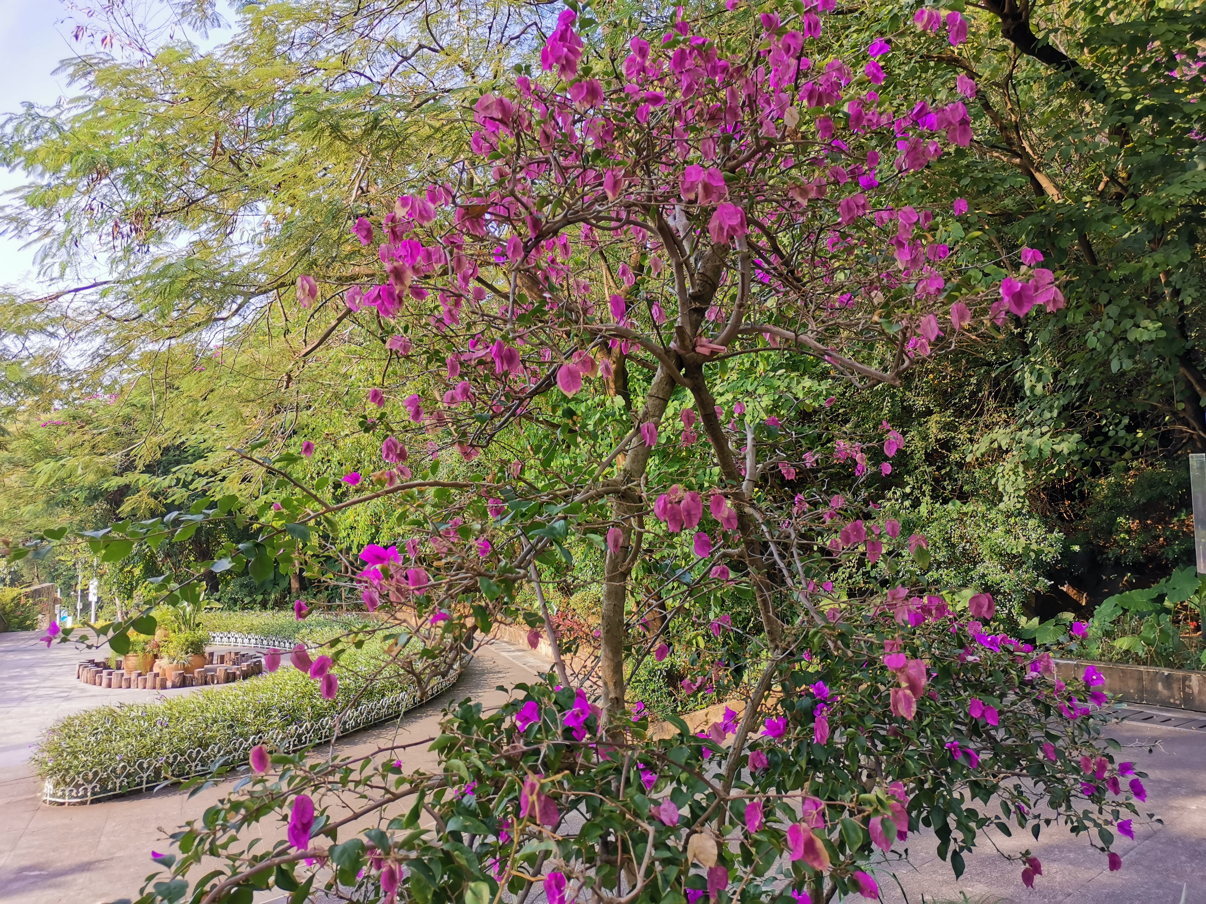 宝安公园,宝安平峦山公园