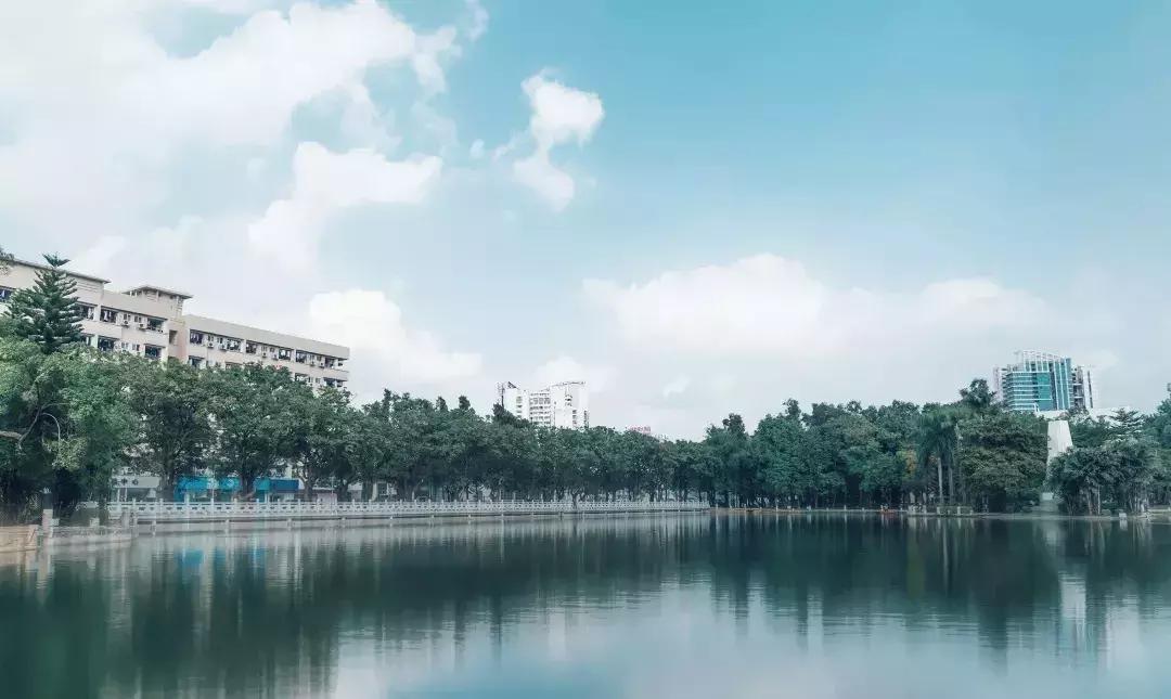 每一圈年轮，都值得细数——致广西大学九十周年华诞