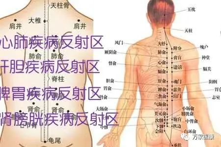 拔罐的作用原理及功效,拔罐的功效作用及方法