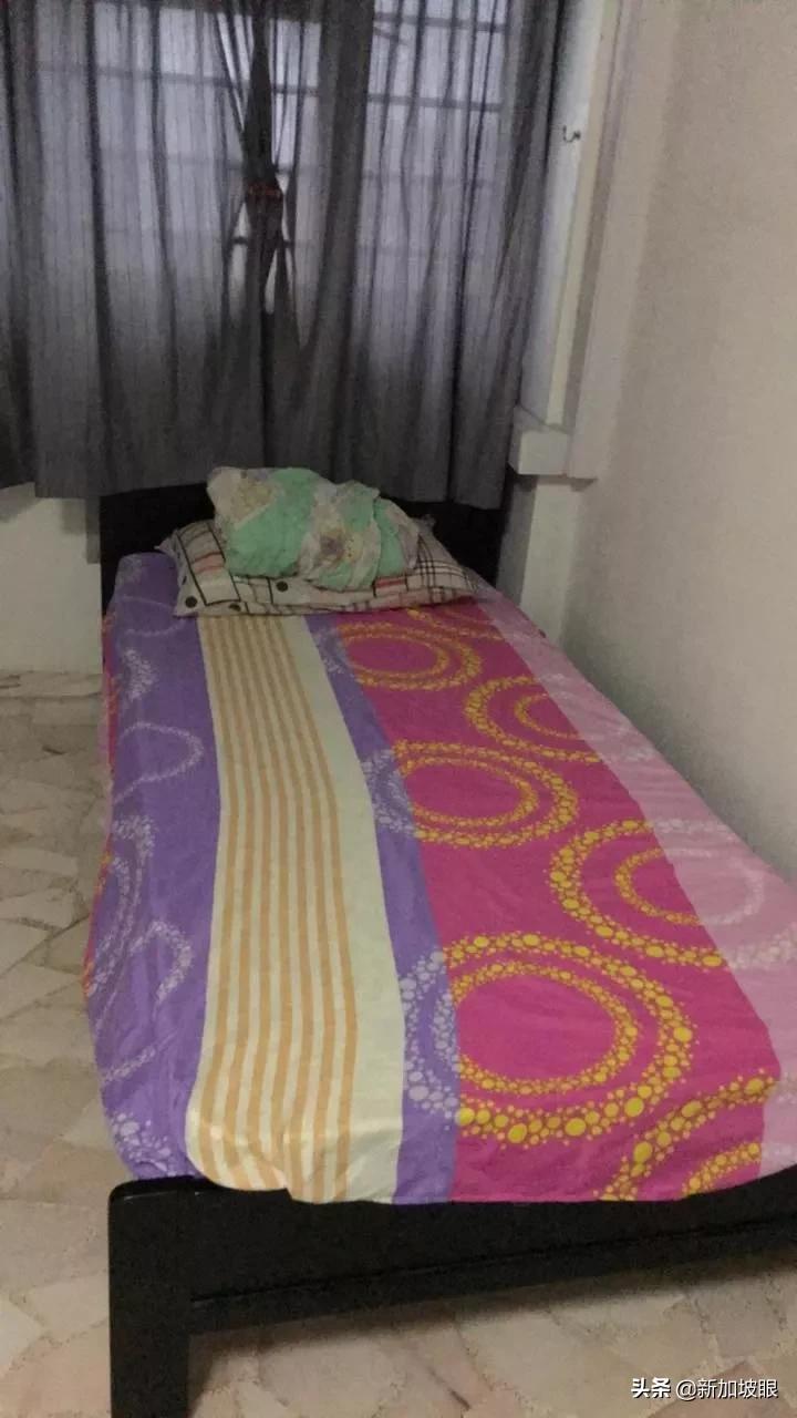 2024年新加坡租房攻略终极指南,新加坡最新租房价格