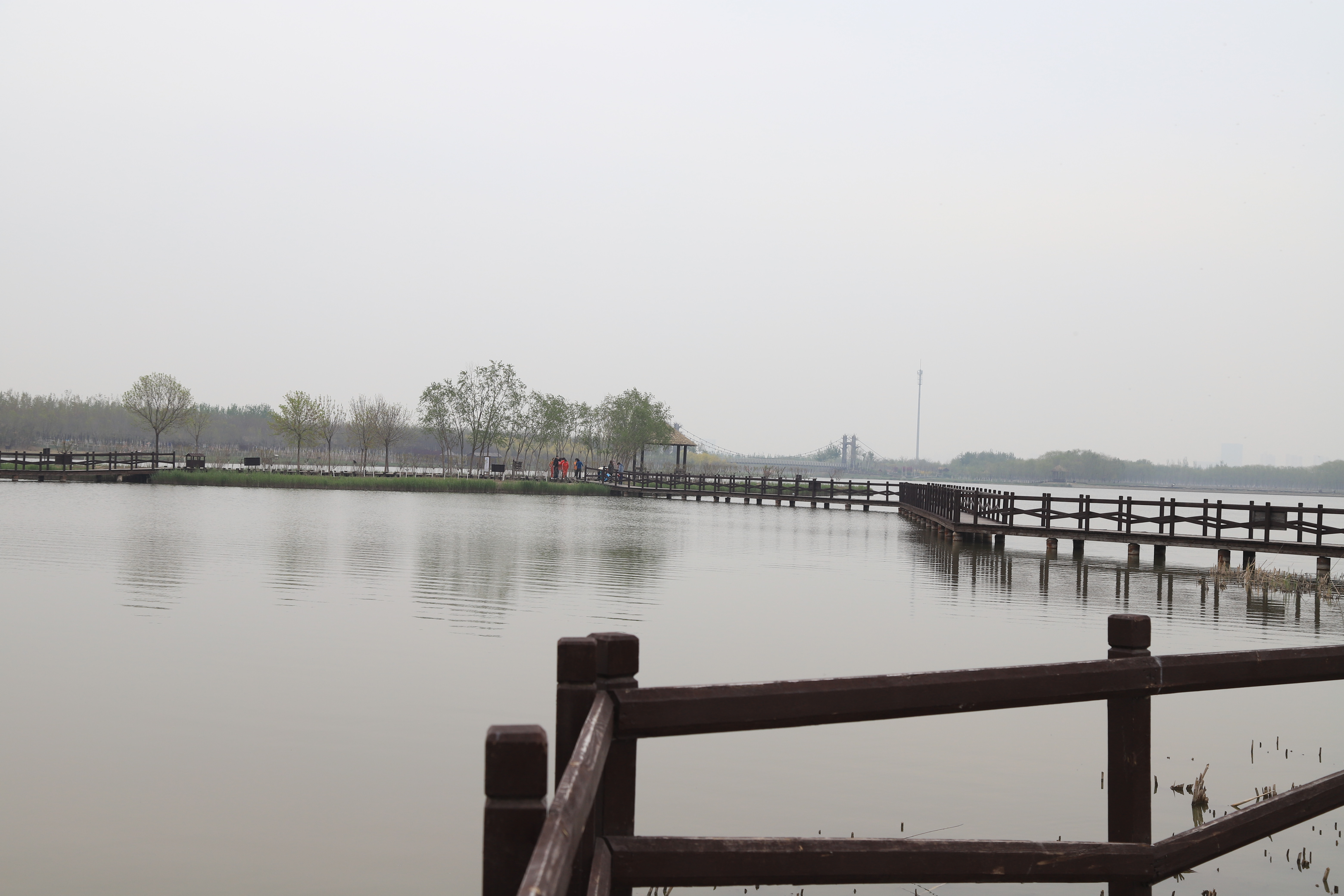 新奇好玩的公园,西青郊野公园开放最新通知