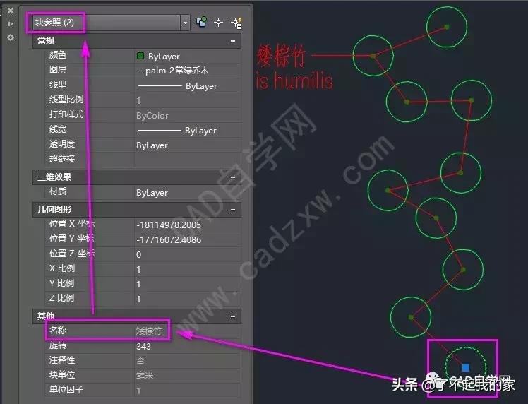 cad统计苗木数量,cad统计苗木数量快捷键