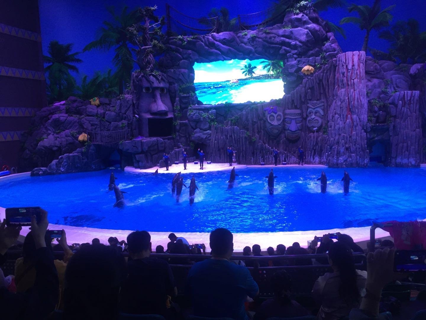 珠海长隆海洋王国附近美食,珠海长隆海洋王国官网预约