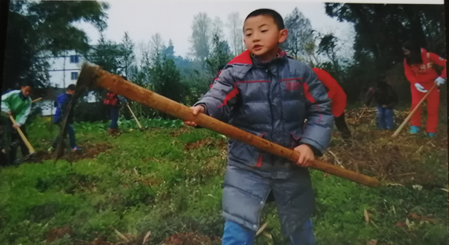 伤疤修复,伤疤没好就忘了疼完整版