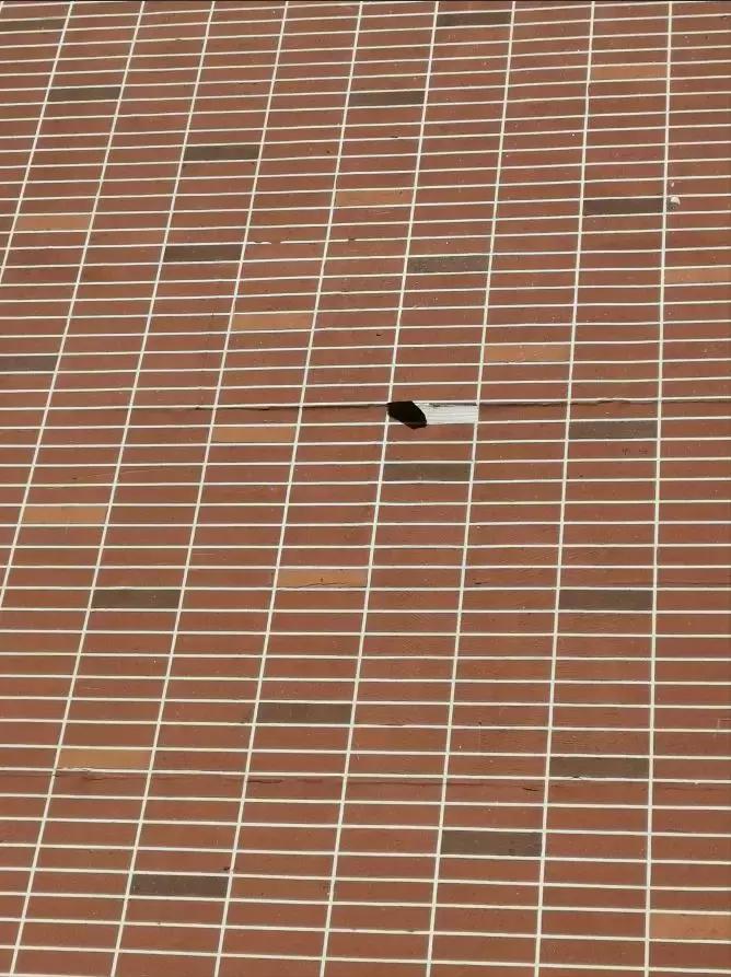 关于龙湾城片区院长这么说，附带优质社区踩盘，你们猜猜是哪里？