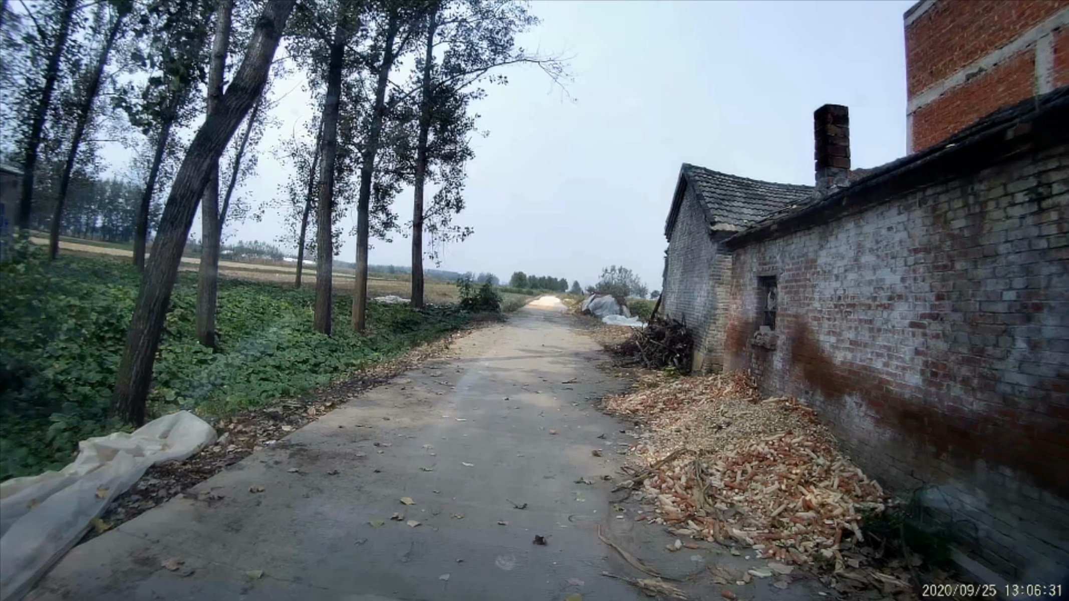 俞伯牙墓为什么在固镇,俞伯牙墓出土