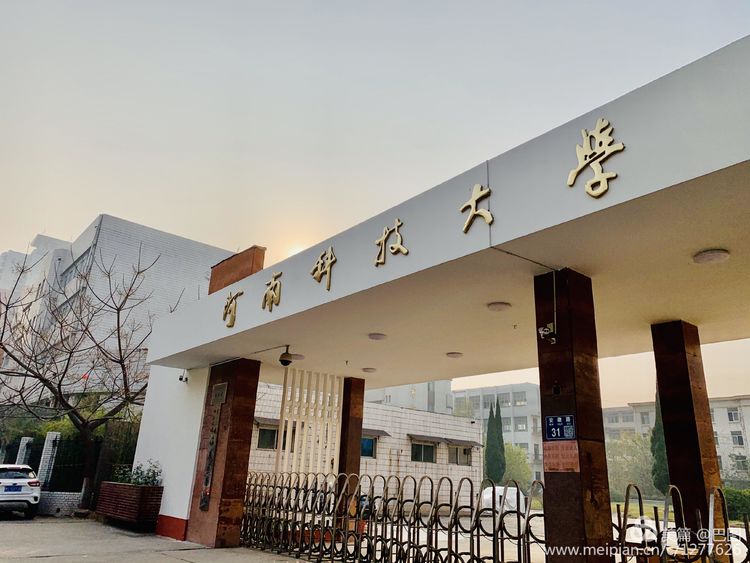 涧西牡丹广场老照片,洛阳牡丹手机拍照