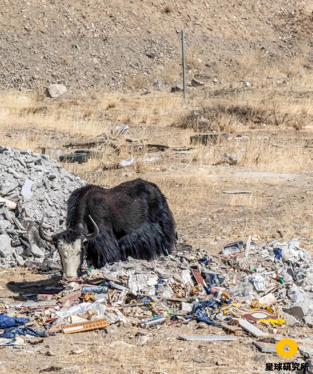 藏西秘境景观,藏西美景视频大全