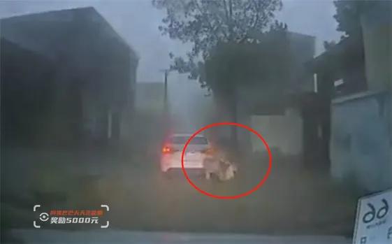 男子触电20秒身亡一旁同事未察觉,生死10分钟救人视频