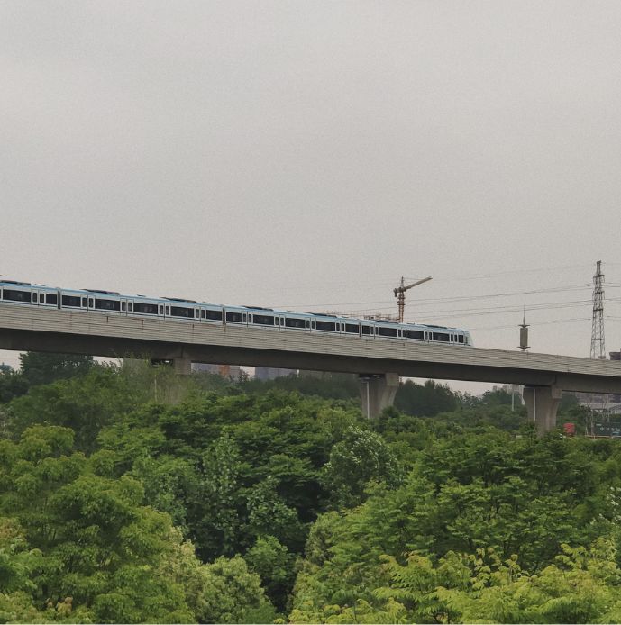 “我还没见过有那个城市的春天，能比武汉还美！”