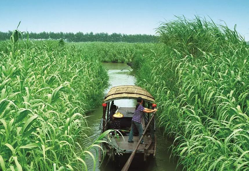 沙家浜景区医护人员免费吗,沙家浜风景区免费开放怎么预约的