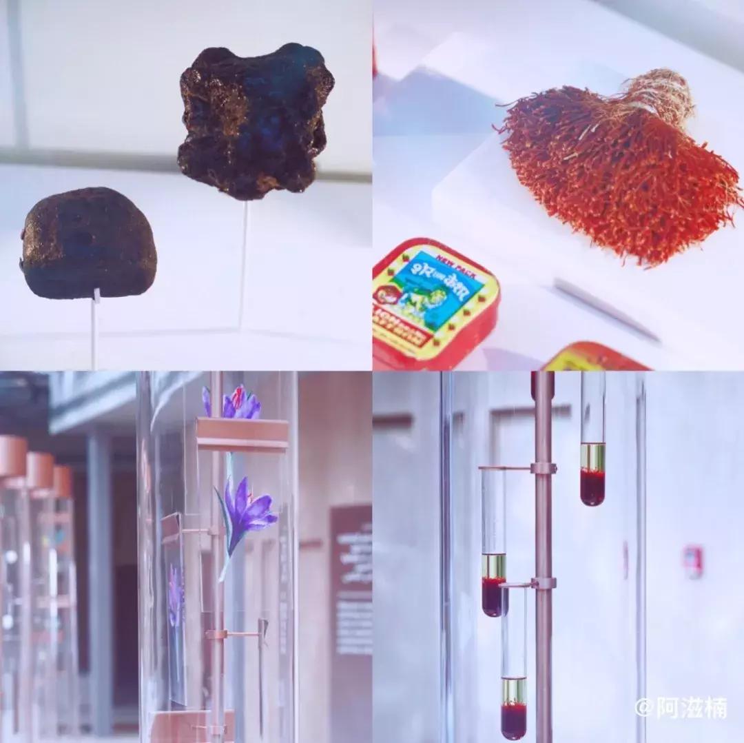 沙漠里的奇迹城,沙漠中的奇迹之城