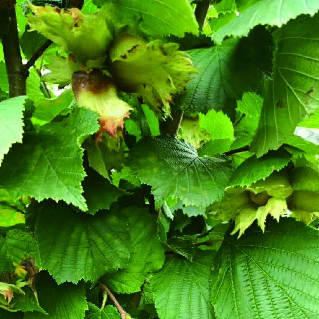 沈阳日报12月13日,沈阳新闻9月16日