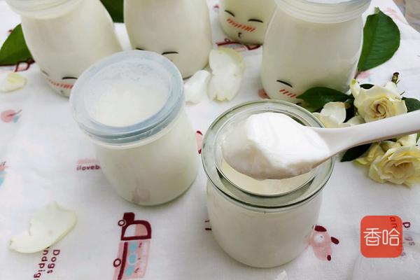 教你自制酸奶，最简单的方式，浓稠又好喝，家人抢着喝