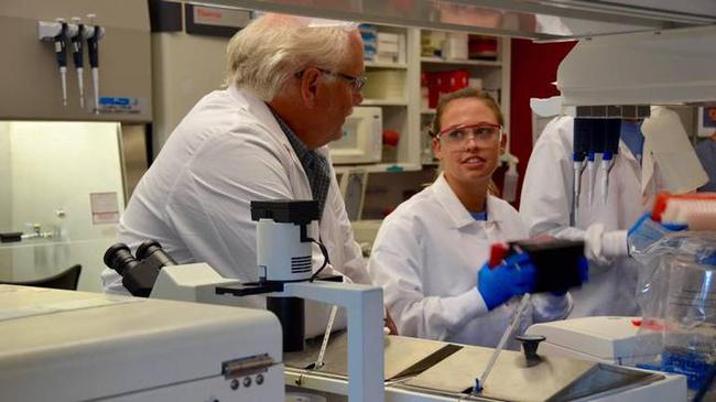 让美军损失惨重，威胁2亿人生命安全！中国神药如何攻克千年瘟疫