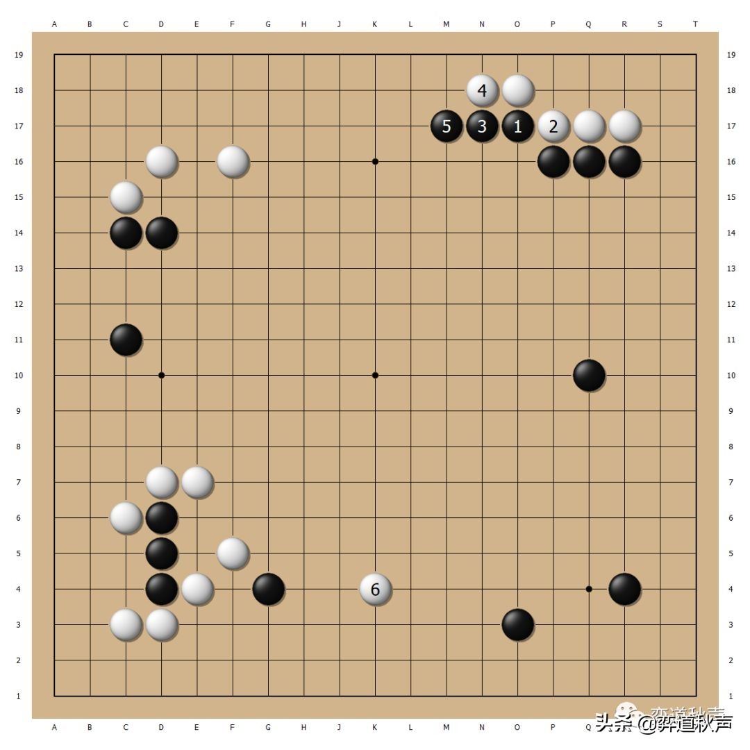 马特乌斯围棋什么水平,波兰围棋高手马特乌斯