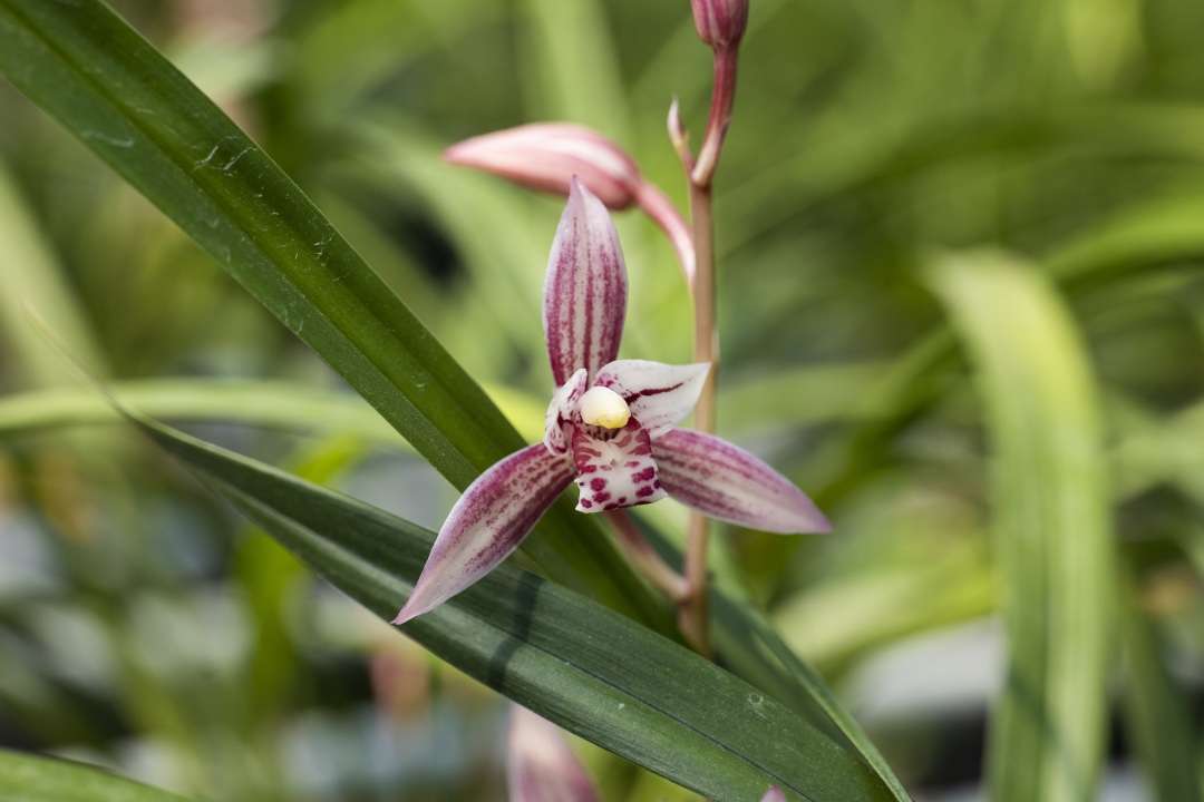 南靖景区有哪些好玩的,南靖风景好的地方推荐