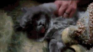 糖友的视频,糖友记录软件