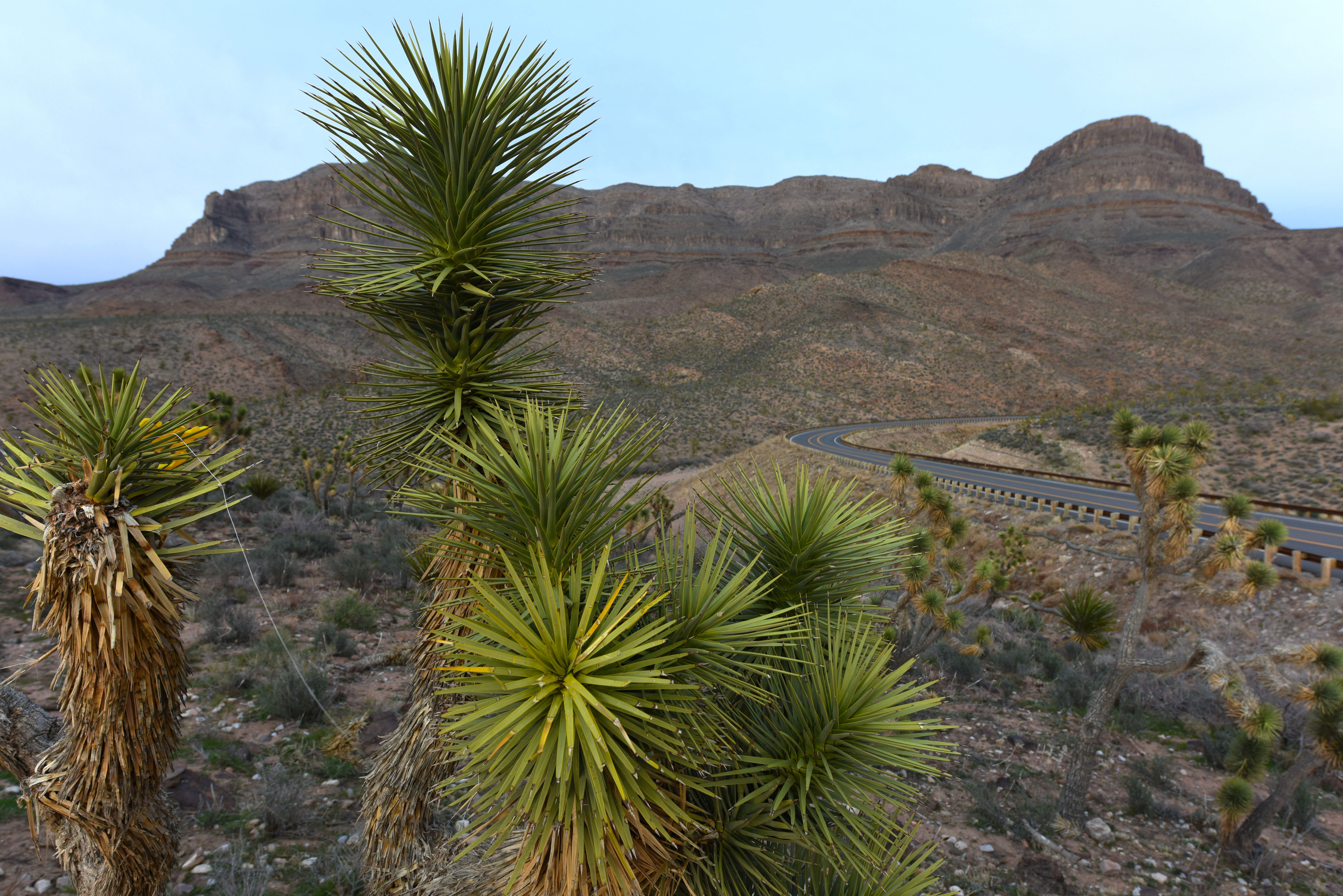 美国大峡谷壮丽风景,美国科罗拉多大峡谷奇观
