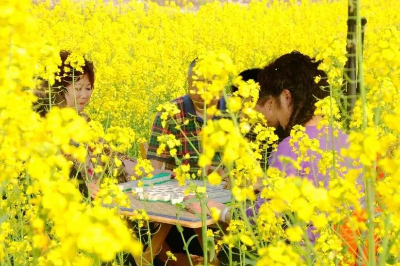 全国最搞笑的省,中国最搞笑的十大省份