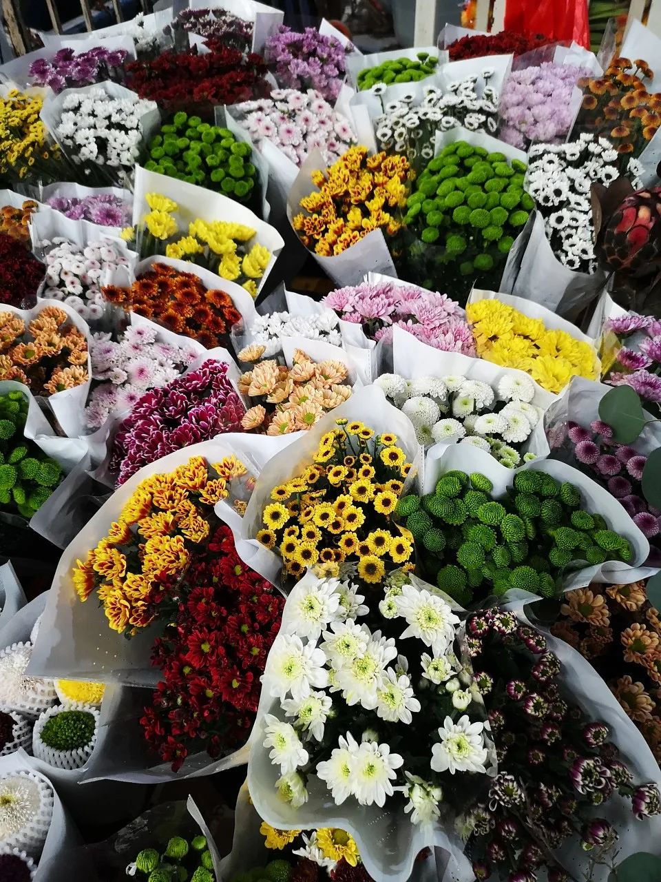 被大理丽江掩盖风头又怎样？它才是云南No.1！5月它太美了